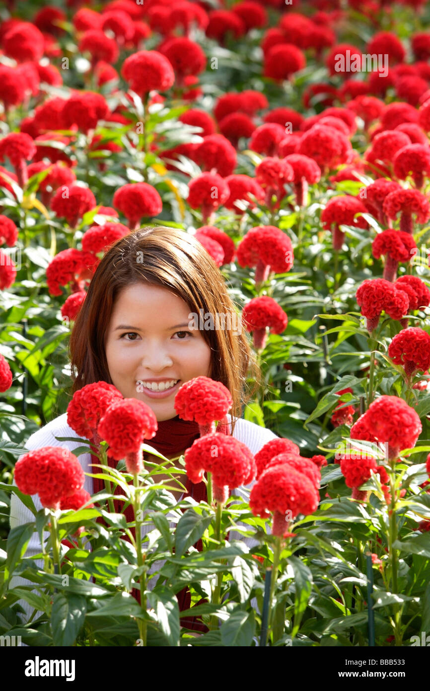 Giovane donna tra i fiori di colore rosso (coxcomb) Foto Stock