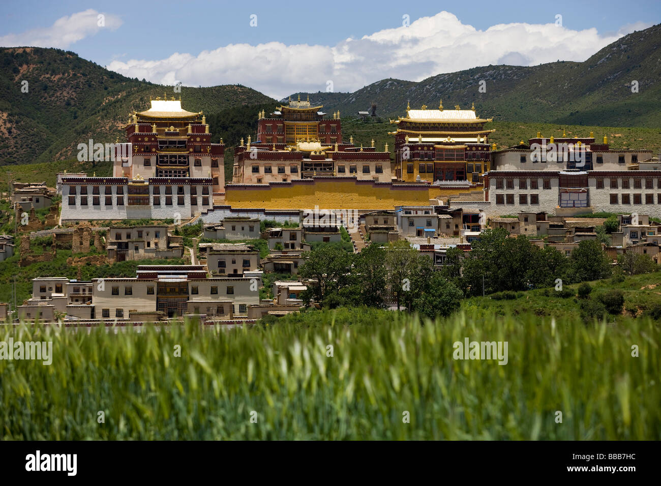 Tempio Songzanlin da una distanza, Shangri-la Cina Foto Stock