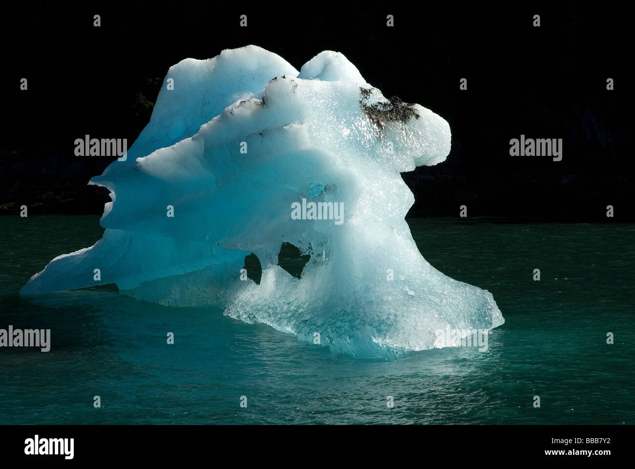 Iceberg nel fiordo Tracy Arm Fjord Alaska USA Foto Stock