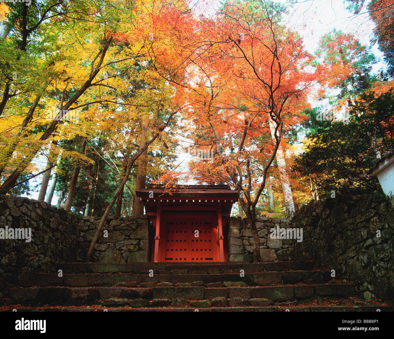 Giappone, Ohara, Sanzen-in, Red gate e di alberi di acero Foto Stock