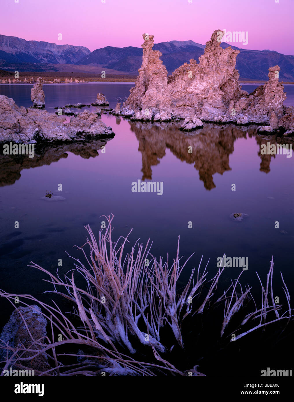 Tramonto sul lago Mono con imbianchiti sagebrush scheletro e lontane torri di tufo dal south shore California Foto Stock