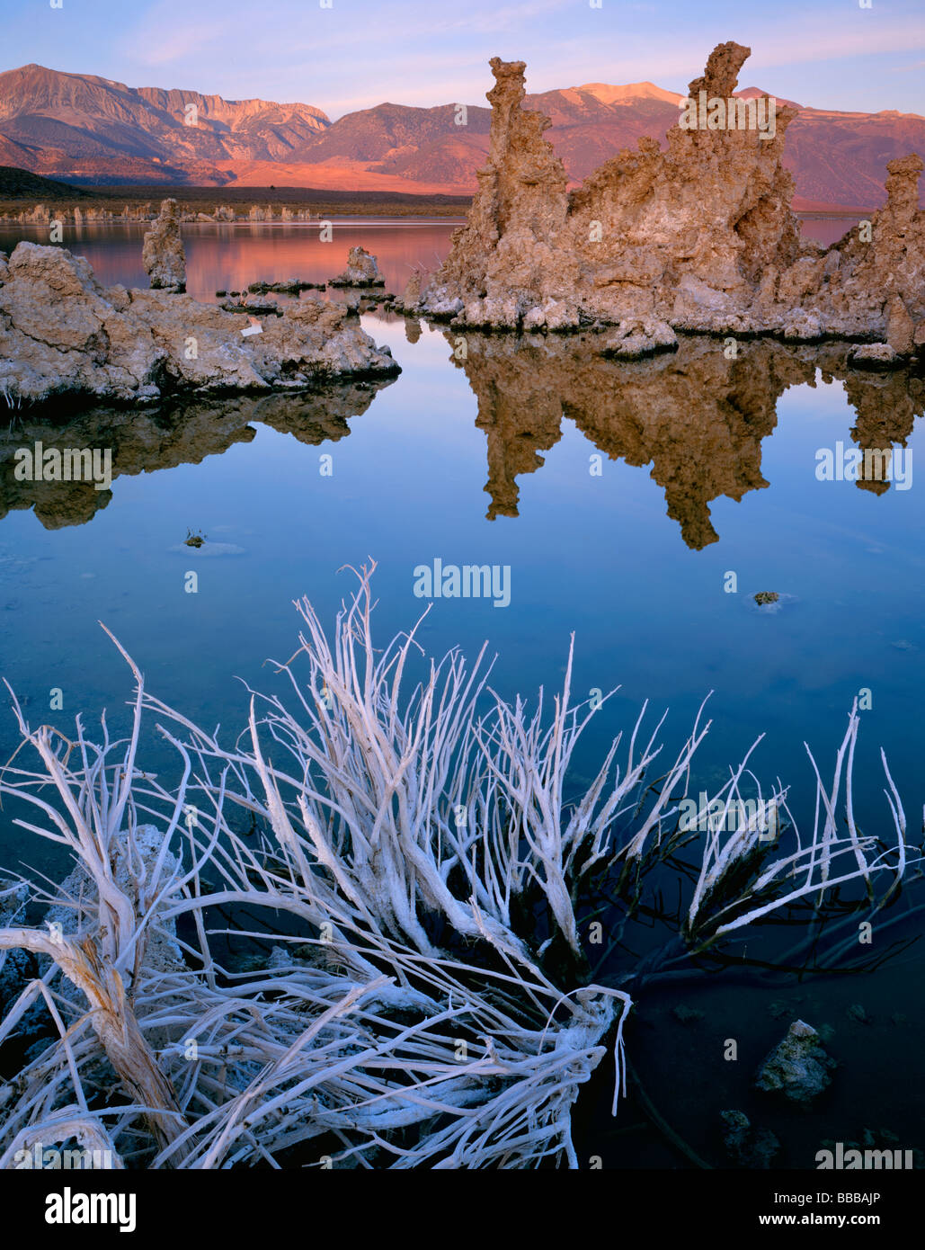 Tramonto sul lago Mono con imbianchiti sagebrush scheletro e lontane torri di tufo dal south shore California Foto Stock