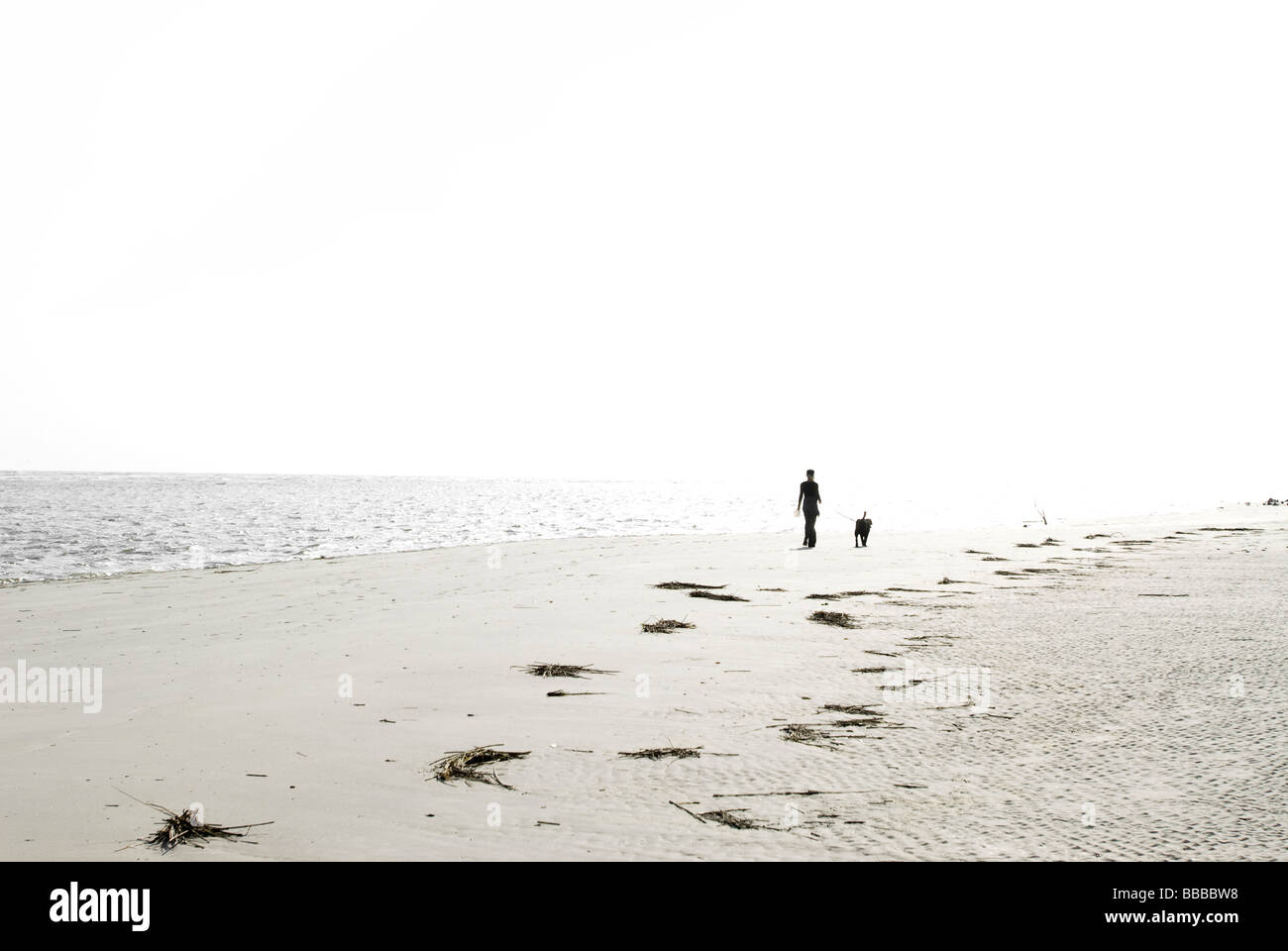 Persona cane a camminare sulla spiaggia Foto Stock