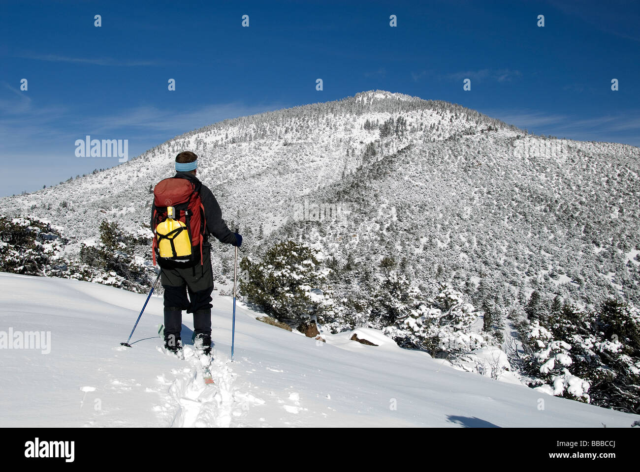 Mike Vining sci backcountry Agua Ramon nel retro del Rio Grande County Colorado USA Foto Stock