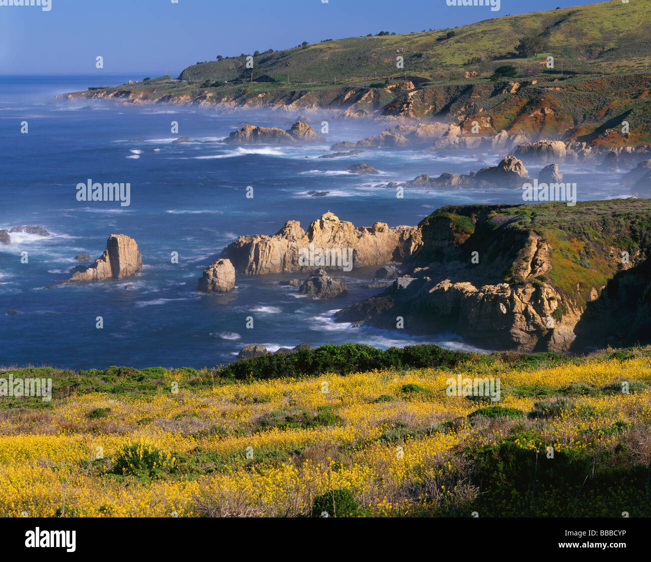 Vista della costa rocciosa di linea e di navigare a Garrapata State Park a Big Sur in California Foto Stock