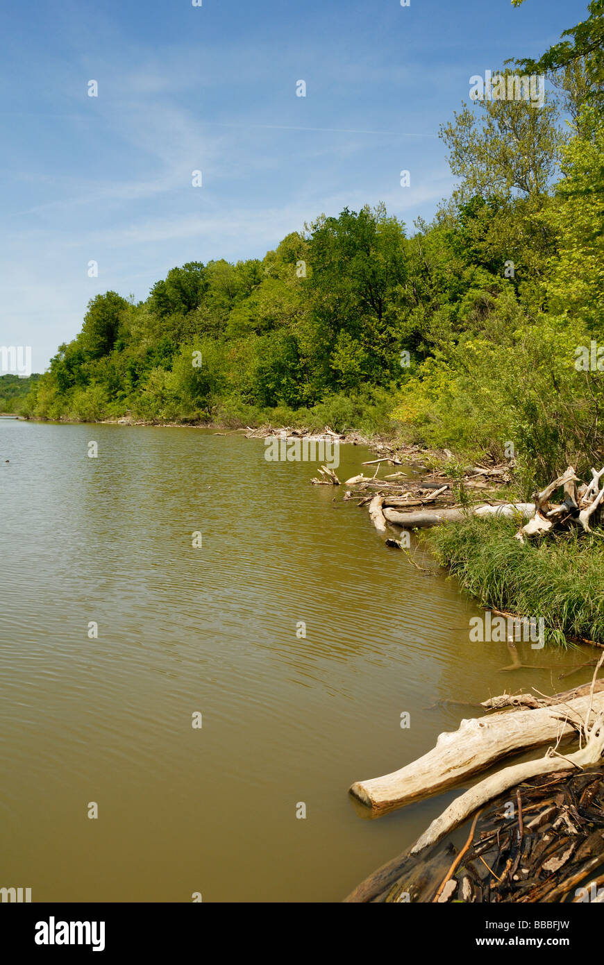 Driftwood lungo dillon serbatoio Foto Stock