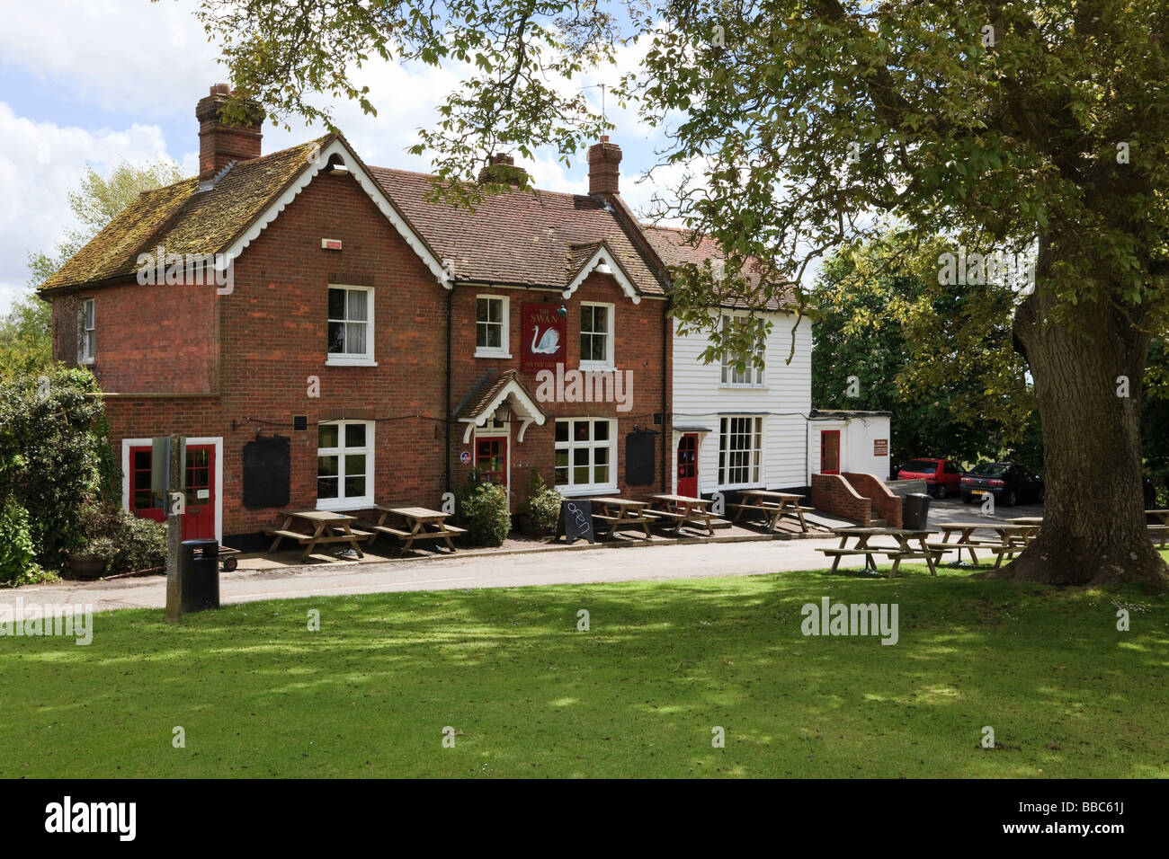 Il cigno sul verde nel grazioso villaggio di Kent di West Peckham REGNO UNITO Foto Stock