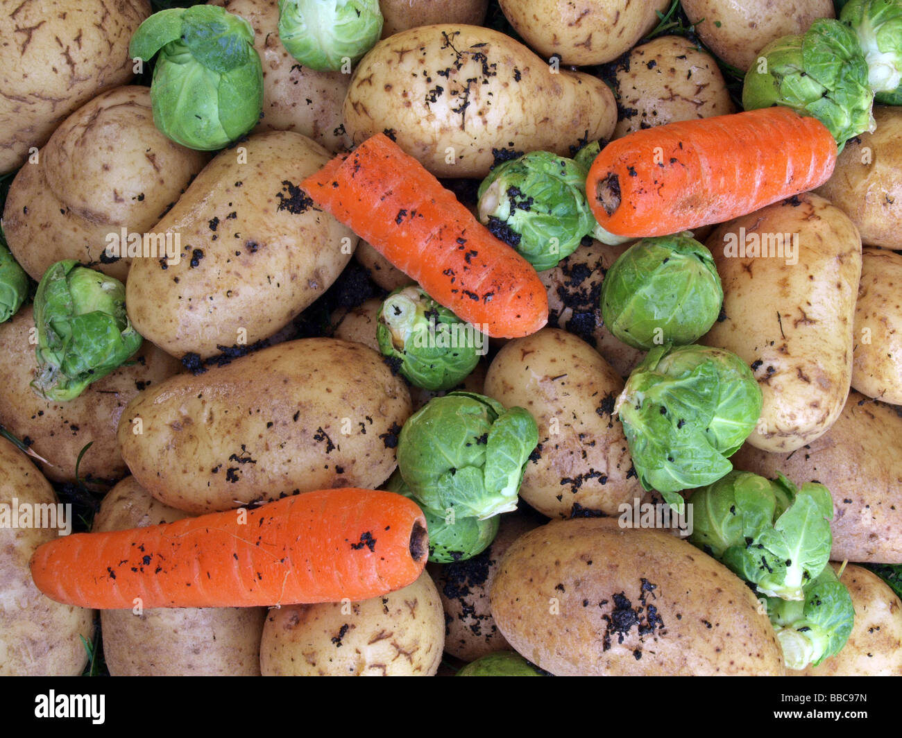 Close up di patate carote e i cavoli di Bruxelles Foto Stock