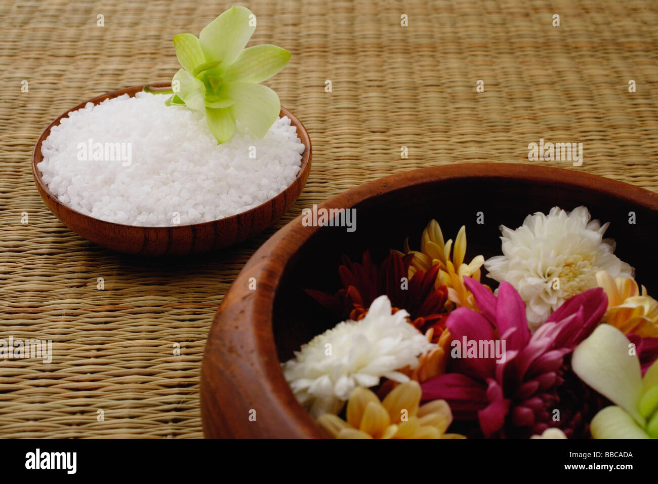 Natura morta di fiori in vaso e una singola testa di fiori sulla ciotola di riso Foto Stock