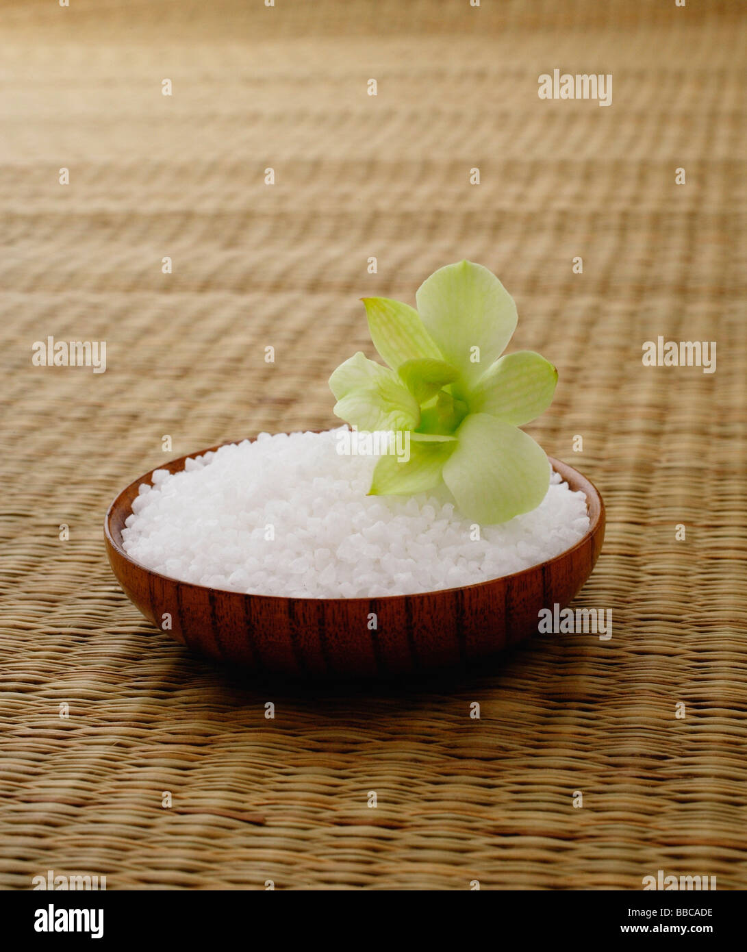 Unico fiore sulla ciotola di riso Foto Stock
