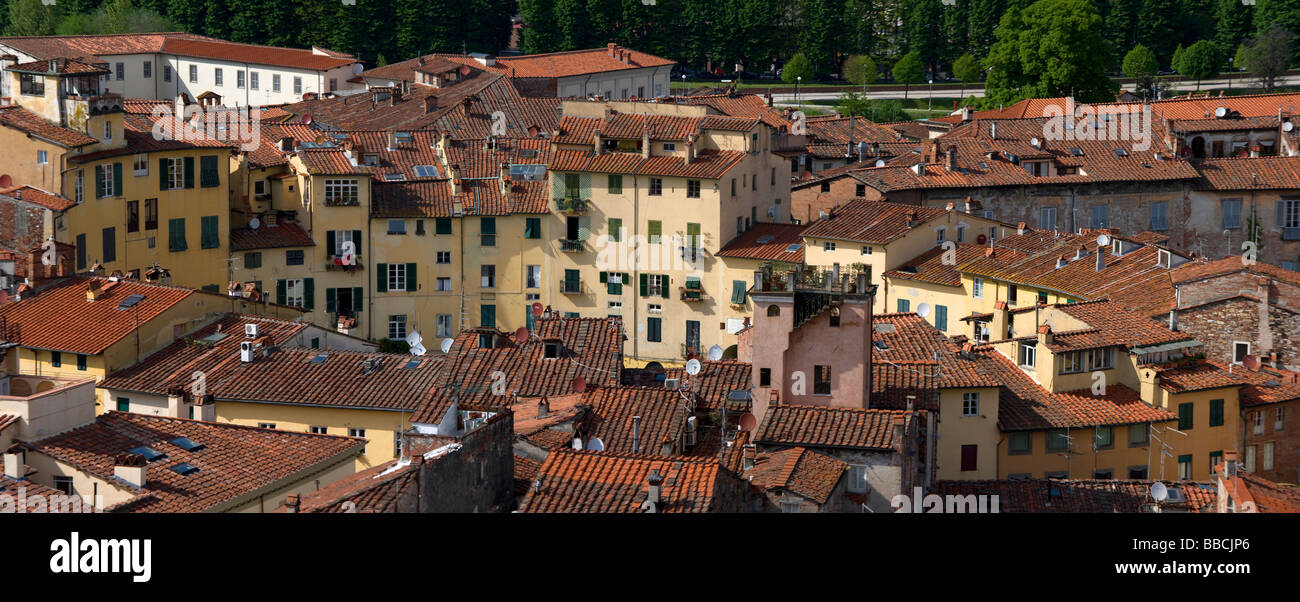 Close up di tetti di Piazza Anfiteatro, Lucca, Toscana, Italia Foto Stock