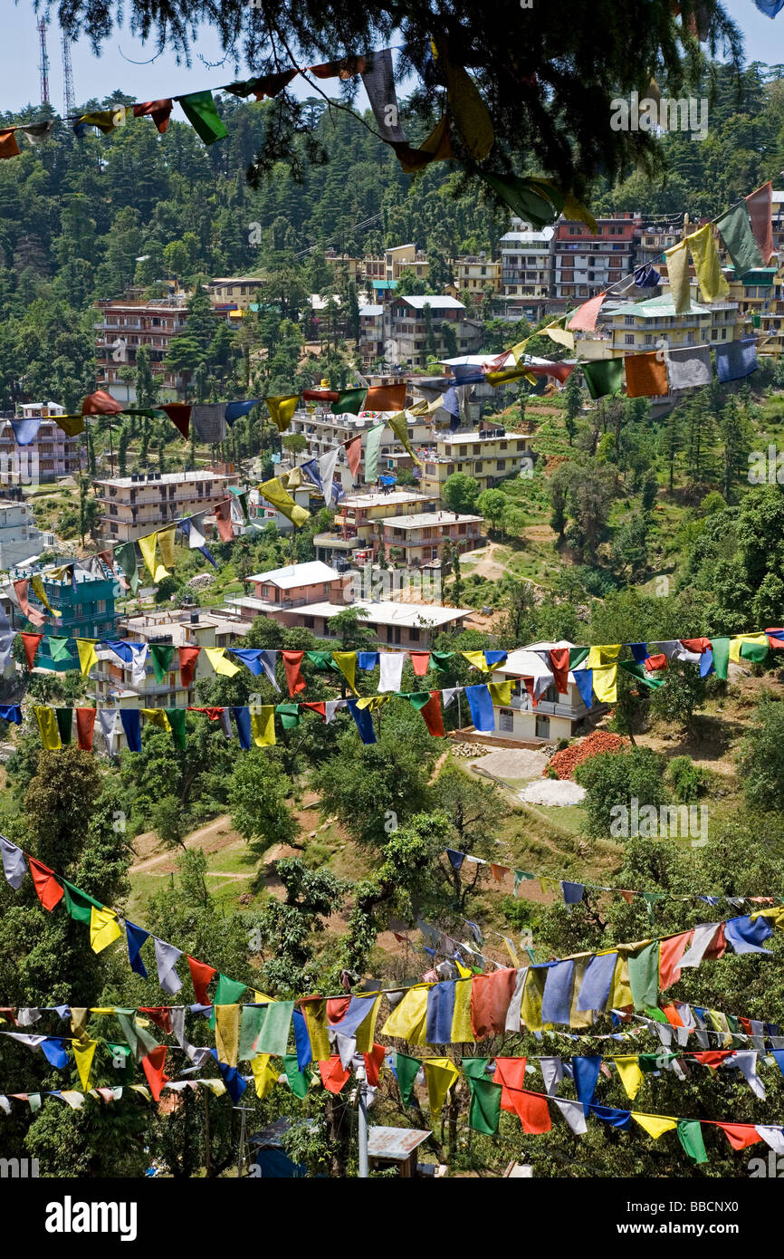 McLeod Ganj. Dharamsala. Himachal Pradesh. India Foto Stock