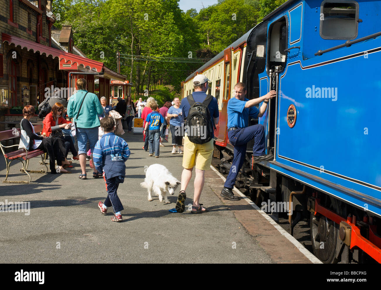 Passeggeri alla stazione Haverthwaite, sul lago & Haverthwaite Steam Railway, Parco Nazionale del Distretto dei Laghi, Cumbria, England Regno Unito Foto Stock