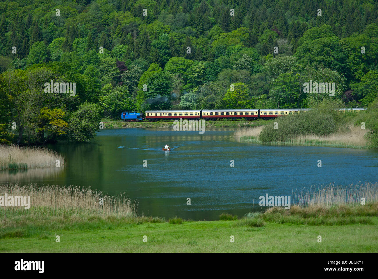 Treno che passa il fiume Leven sul lago & Haverthwaite ferroviarie, Parco Nazionale del Distretto dei Laghi, Cumbria, England Regno Unito Foto Stock