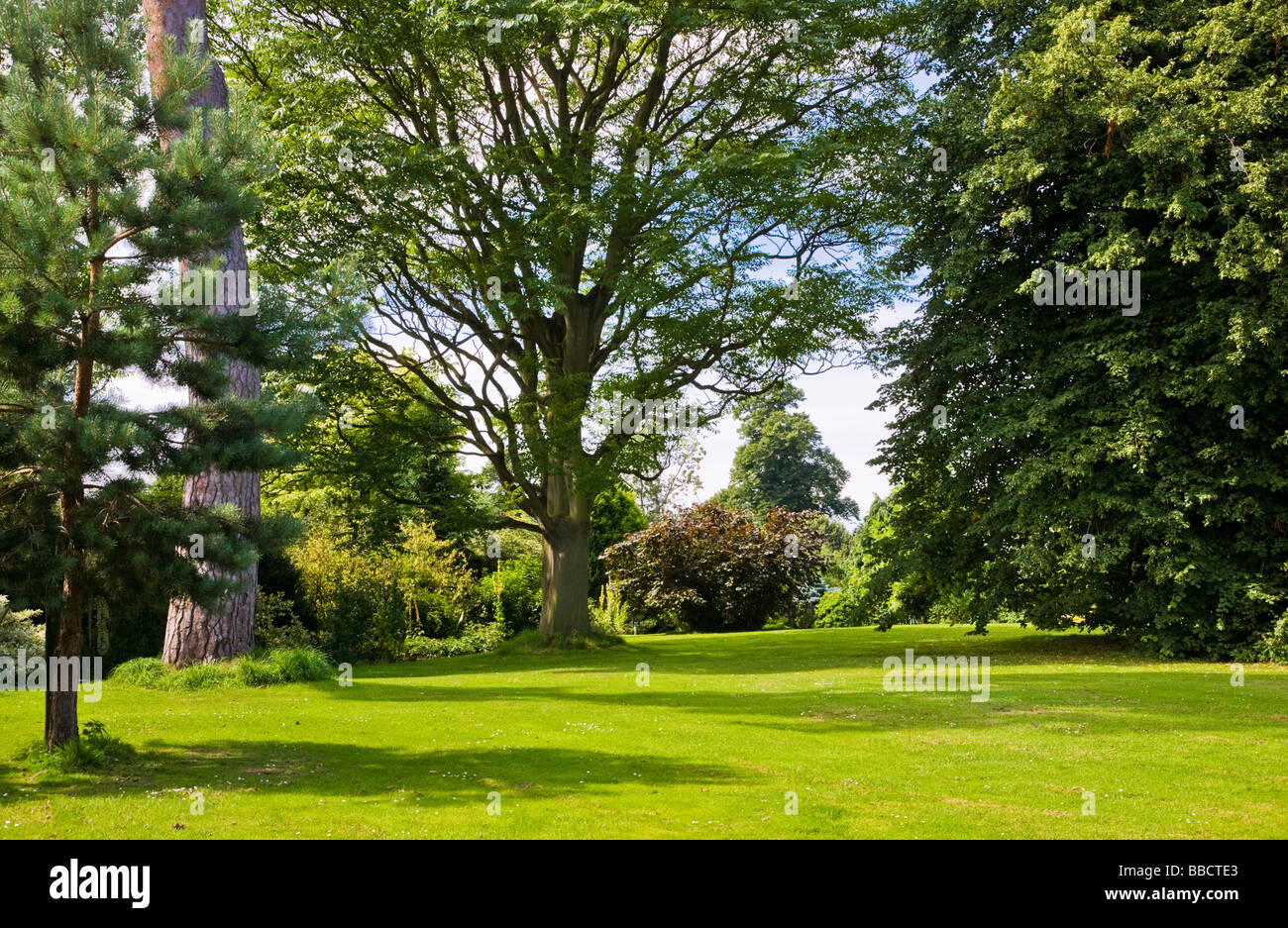 Alberi grandi arbusti e cespugli intorno a un prato di giardino Waterperry Oxfordshire Inghilterra UK Gran Bretagna Foto Stock