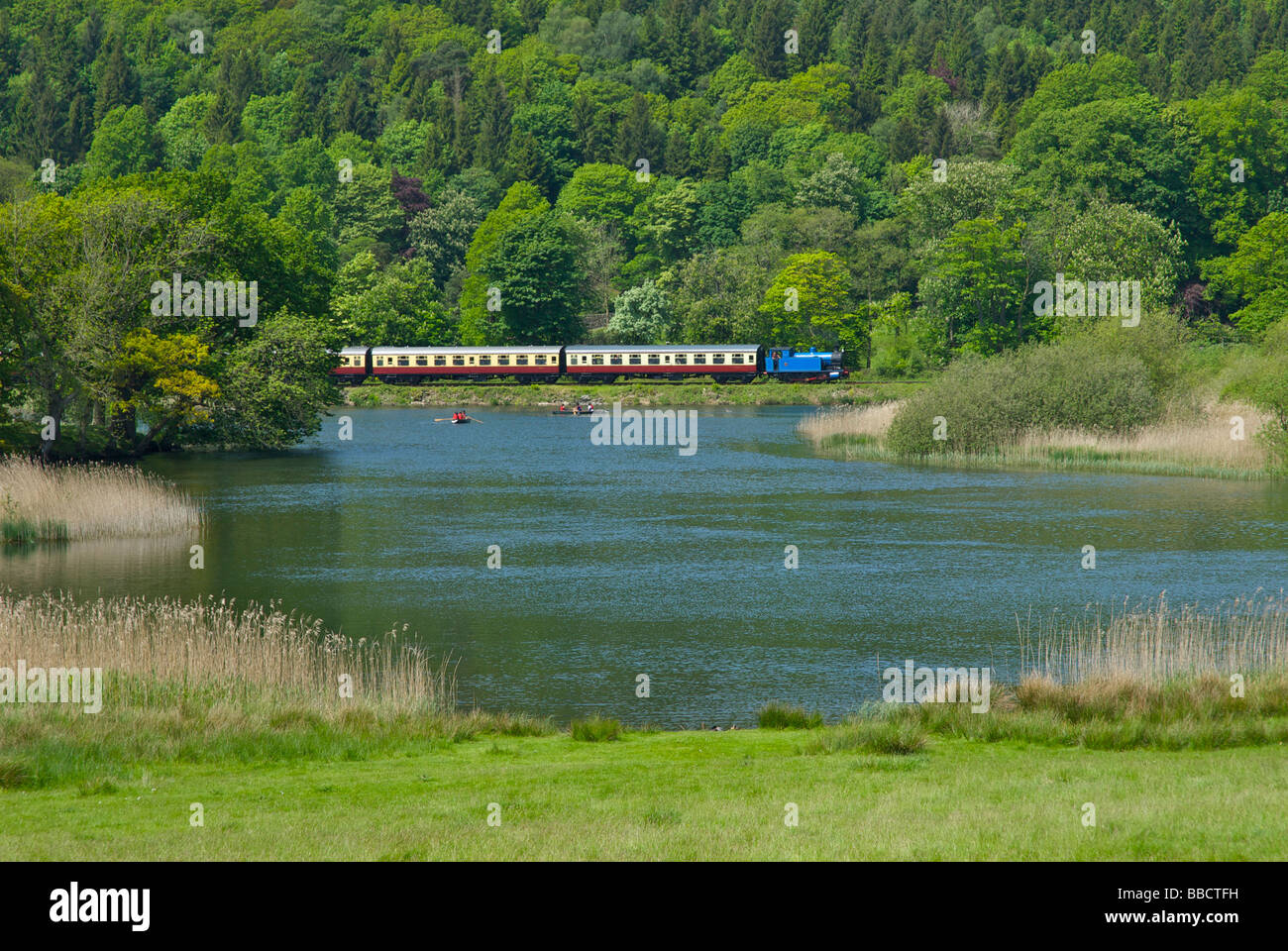 Treno che passa il fiume Leven sul lago & Haverthwaite ferroviarie, Parco Nazionale del Distretto dei Laghi, Cumbria, England Regno Unito Foto Stock