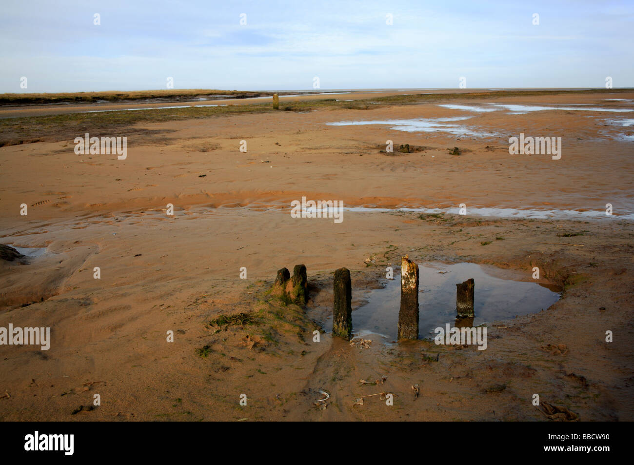 Posti a bassa marea su Stiffkey Freshes sulla Costa North Norfolk, Regno Unito. Foto Stock