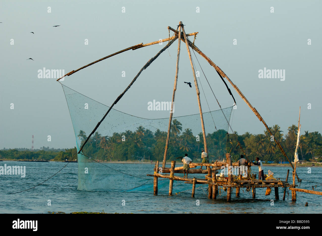 India Kerala, Fort Cochin (Cochi, Kochi). Stile cinese rete da pesca nel porto di Cochin. N versioni disponibili. Foto Stock