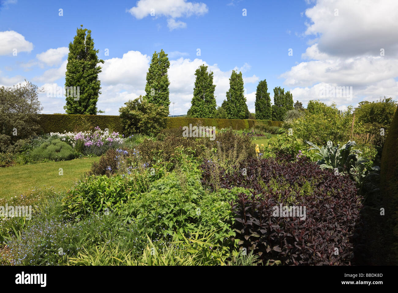 Lungo il giardino tradizionale confine con piantando mescolato a Hadlow Kent REGNO UNITO Foto Stock