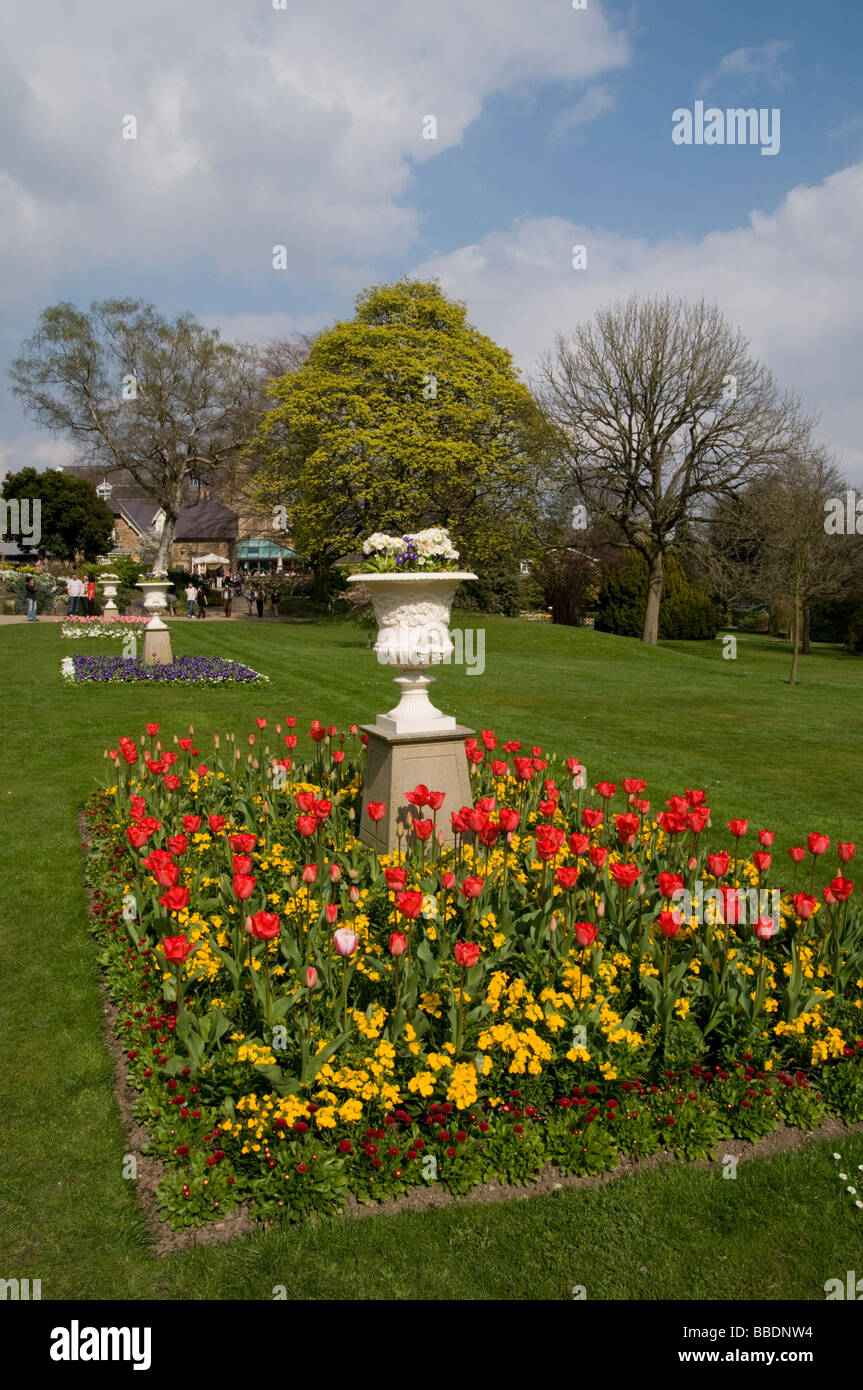 Sheffields è città Giardini Botanici in primavera tempo South Yorkshire England Regno Unito Foto Stock