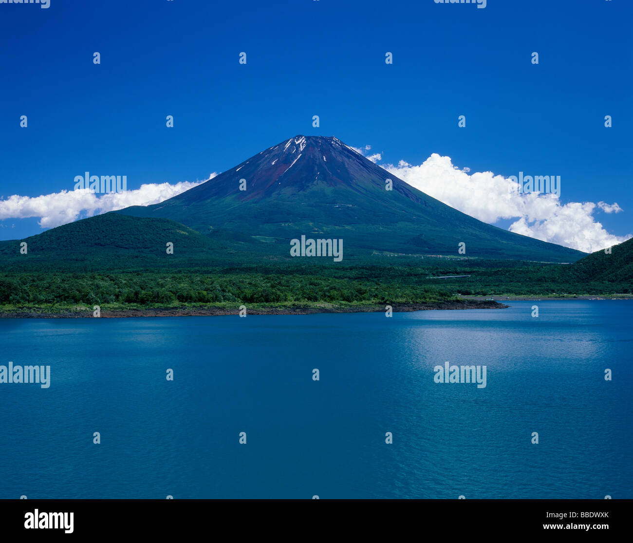 Mt.Fuji e il lago Foto Stock