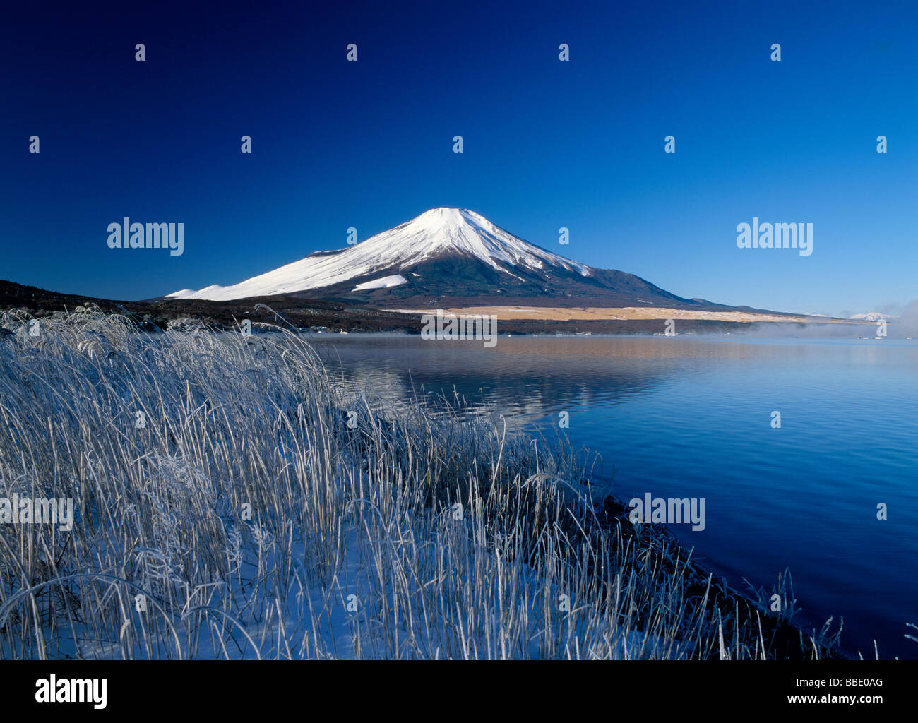 Mt.Fuji e il lago Foto Stock