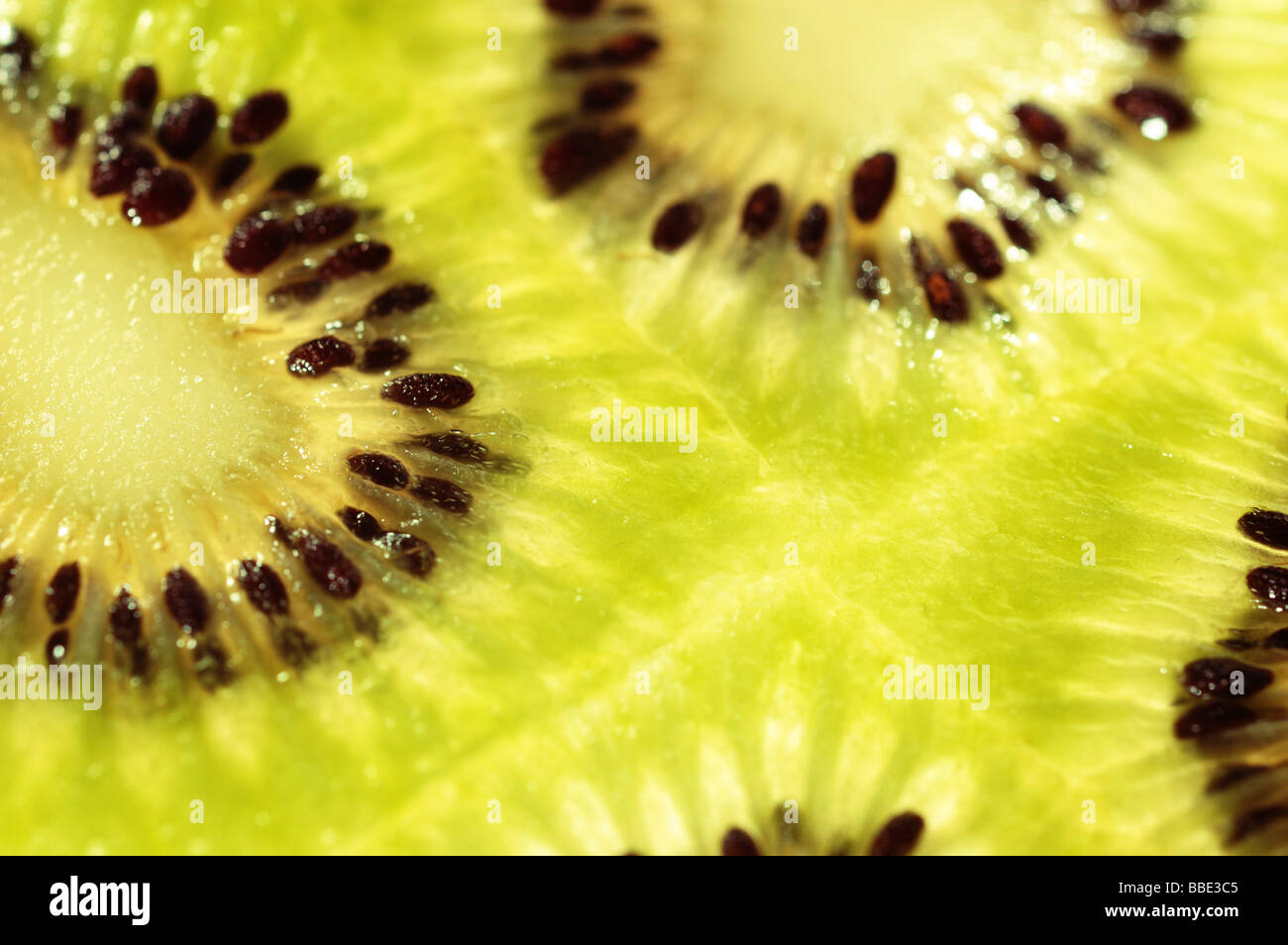 Kiwi Foto Stock