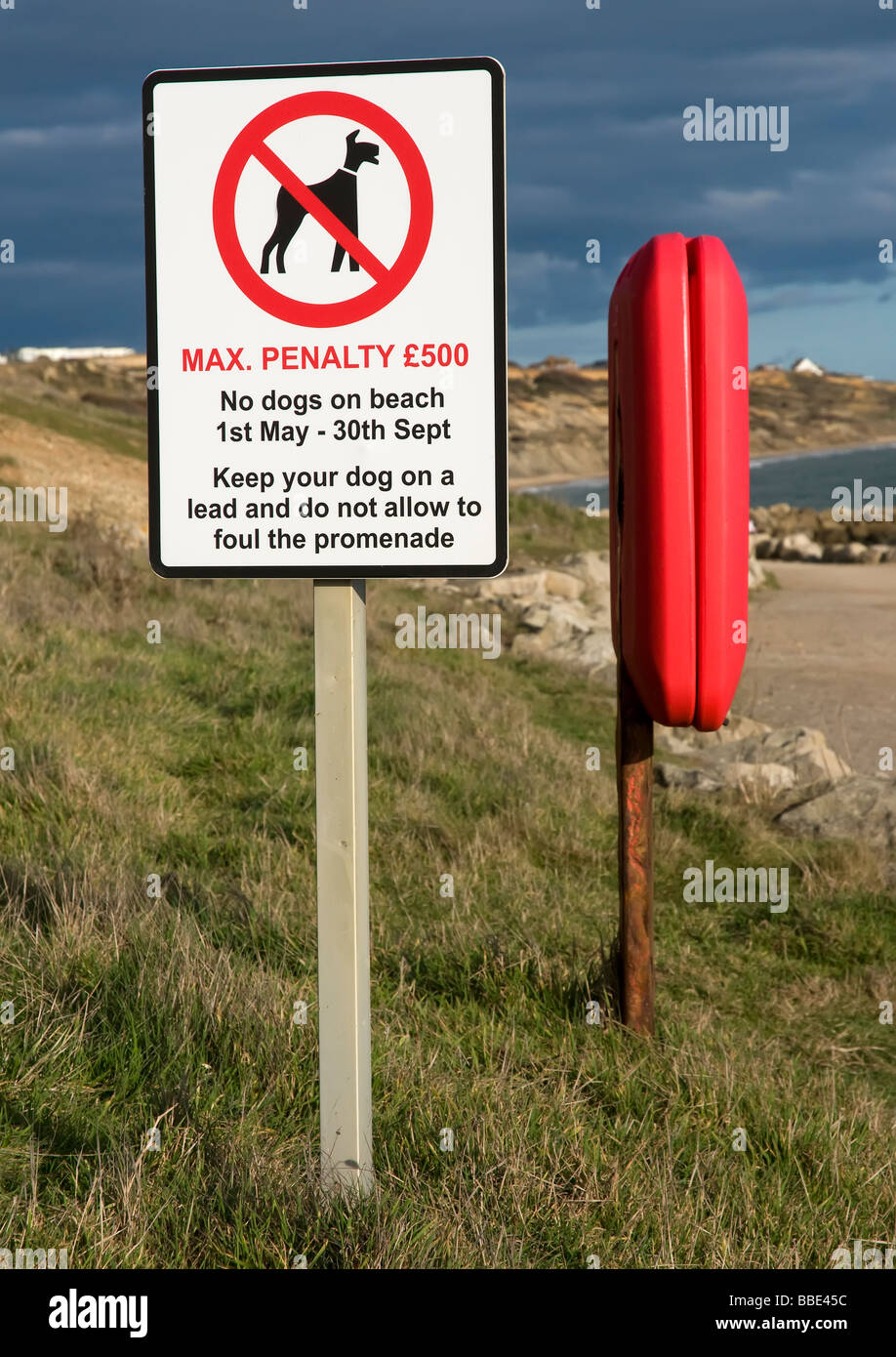 No cani sulla spiaggia segno su Barton sul lungomare di mare Foto Stock