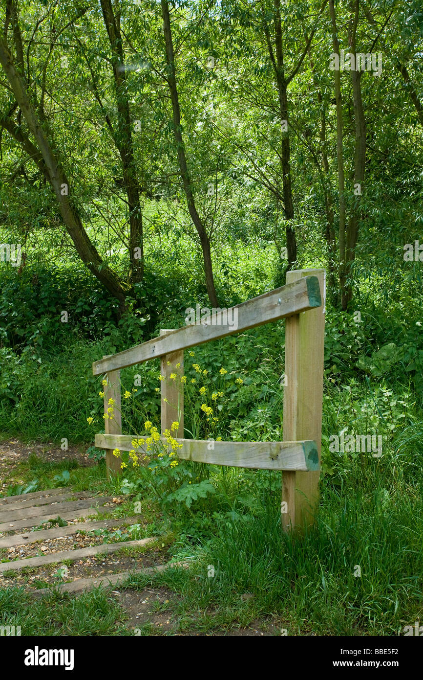 Gradini in legno a Brook Meadow Riserva Naturale, Peschici, Hampshire, Regno Unito Foto Stock