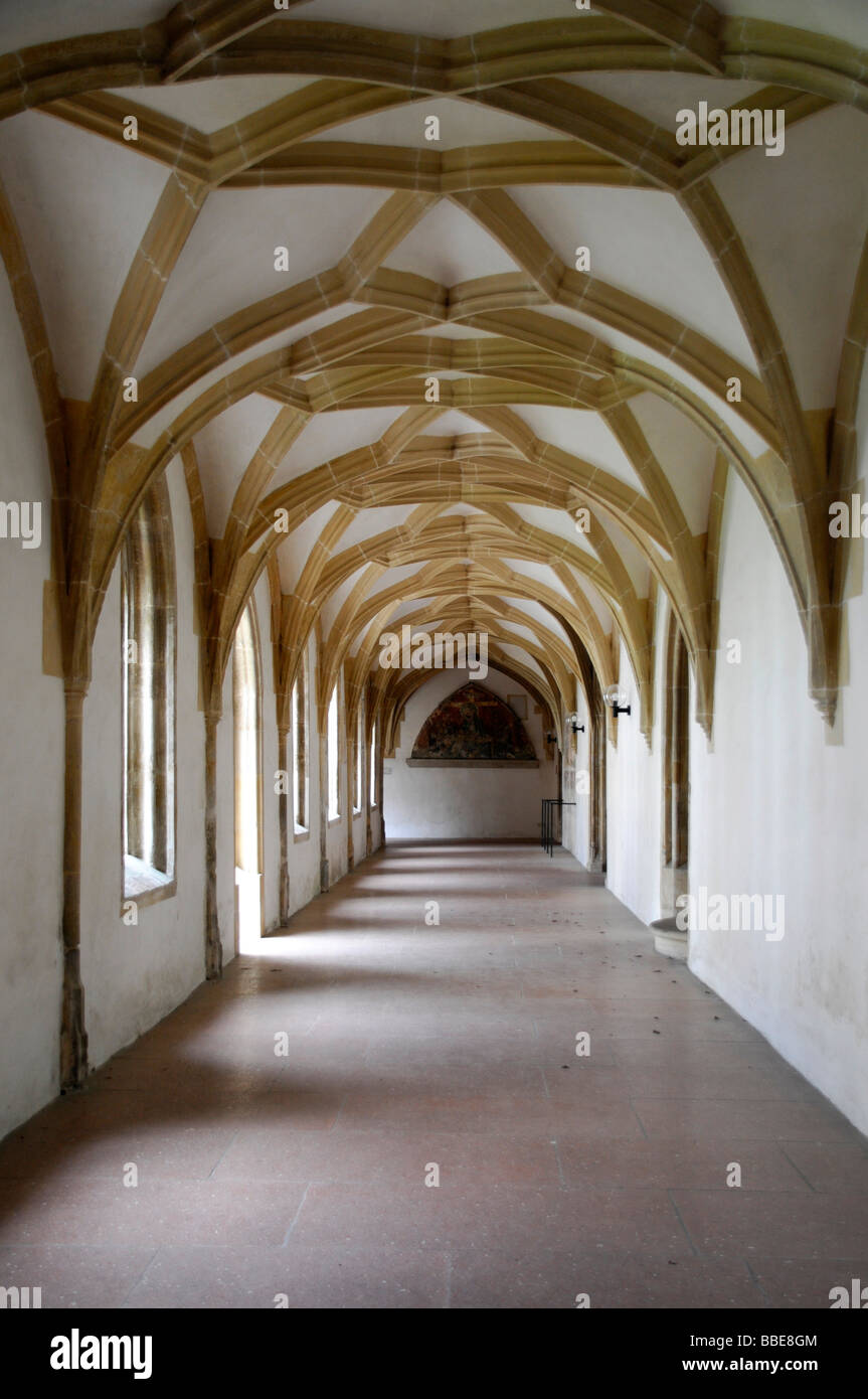 Chiostro, Blaubeuren Abbey, Blaubeuren, Baden-Wuerttemberg, Germania, Europa Foto Stock