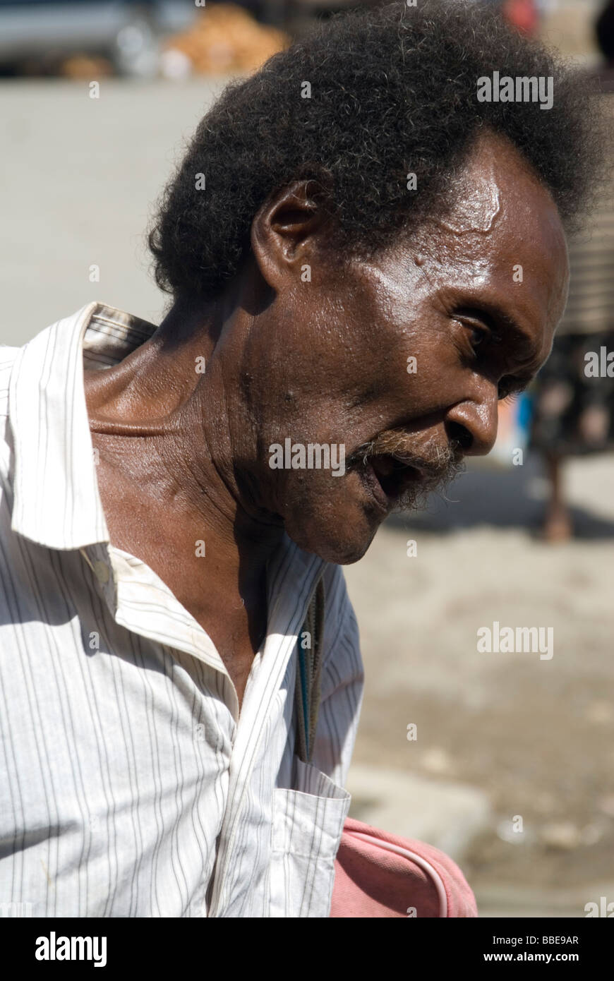 Zelota evangelica, Auki Malaita nelle isole Salomone Foto Stock