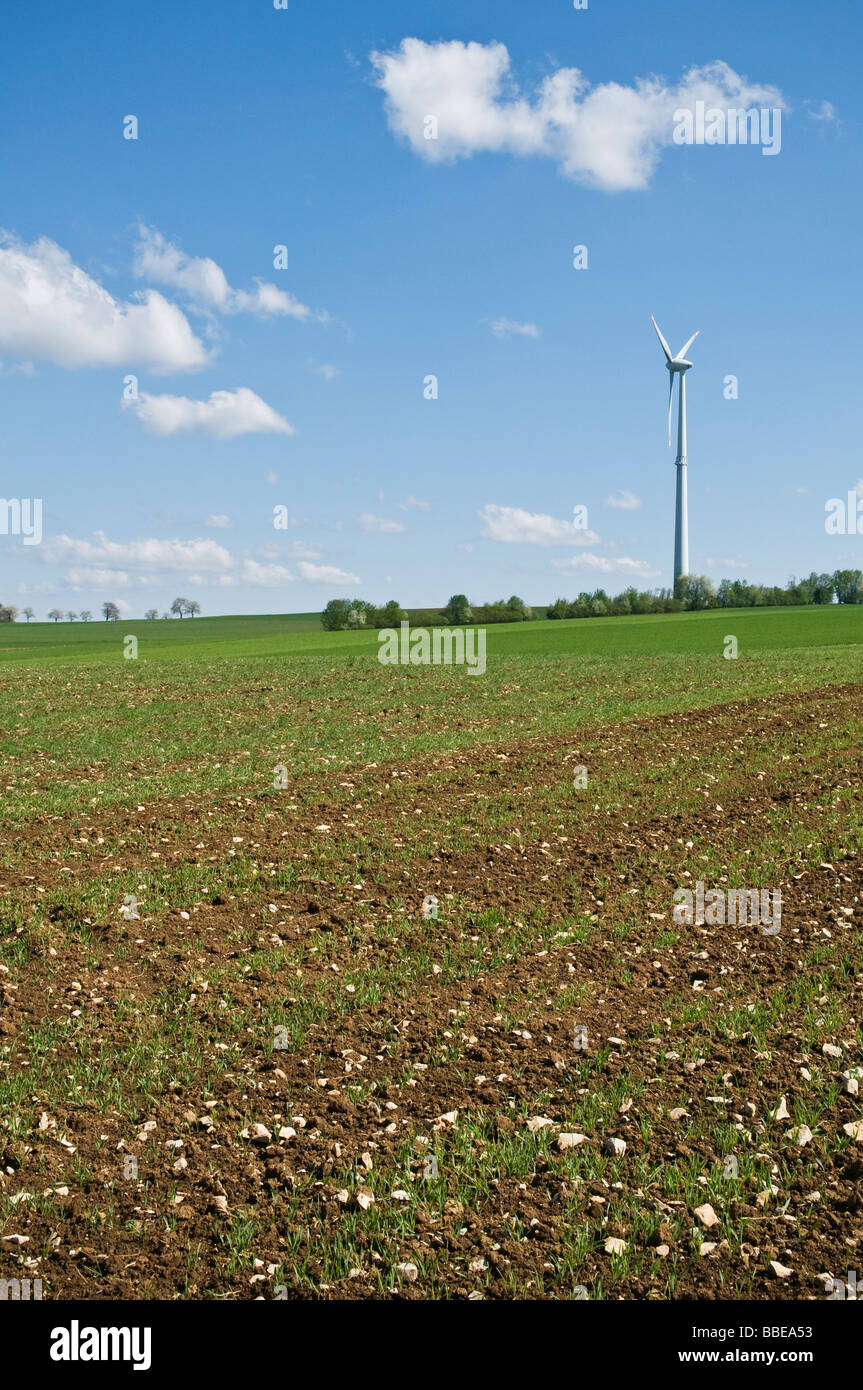 Molla di campi di fattoria, Franconia, Baviera, Germania Foto Stock