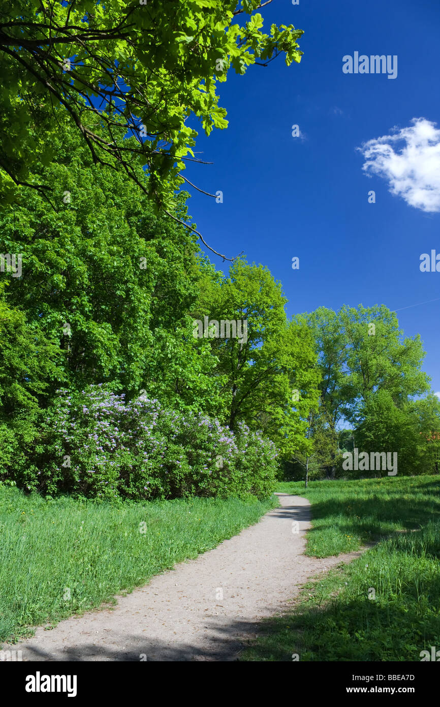 Sentiero in estate il parco blu cielo Foto Stock