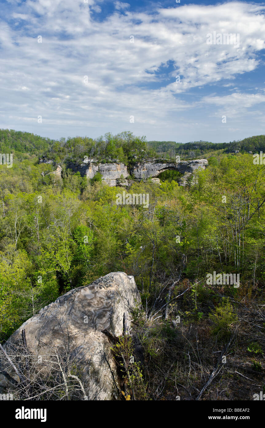 Arco Naturale in Daniel Doone National Forest Kentucky Foto Stock