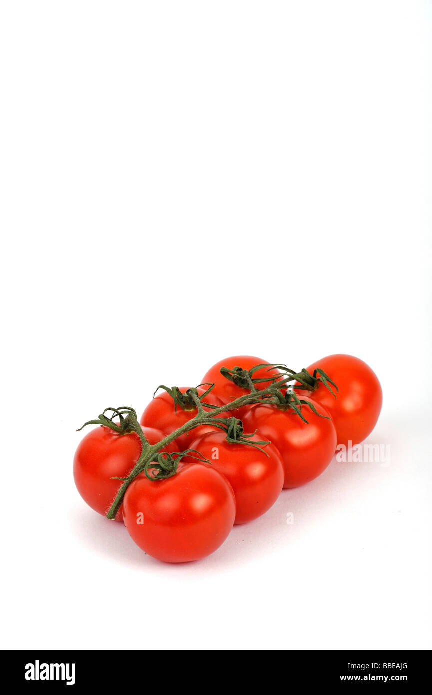 Freschi pomodori a grappolo (solanum) Foto Stock