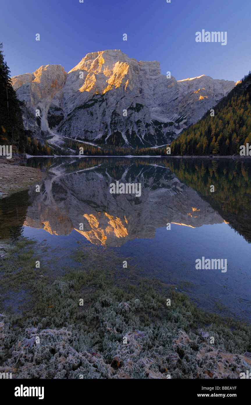 Croda del Becco si riflette nel Lago di Braies, Fanes Alpi, parco naturale Fanes-Senes-Braies, Alto Adige, Italia Foto Stock