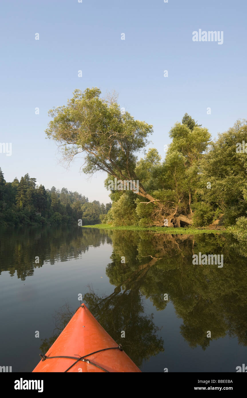 Fiume russo, Jenner, CALIFORNIA, STATI UNITI D'AMERICA Foto Stock