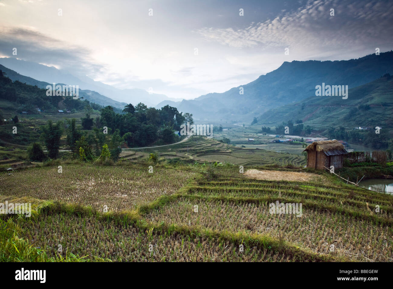 I campi di riso, Sa Pa, Lao Cai Provincia, Vietnam Foto Stock