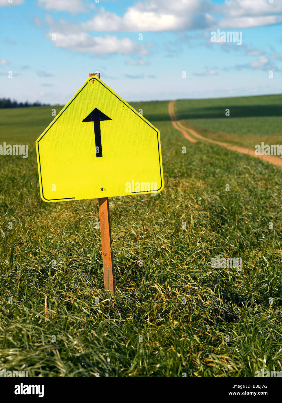 Direzione campo Accedi, Prince Edward Island, Canada Foto Stock