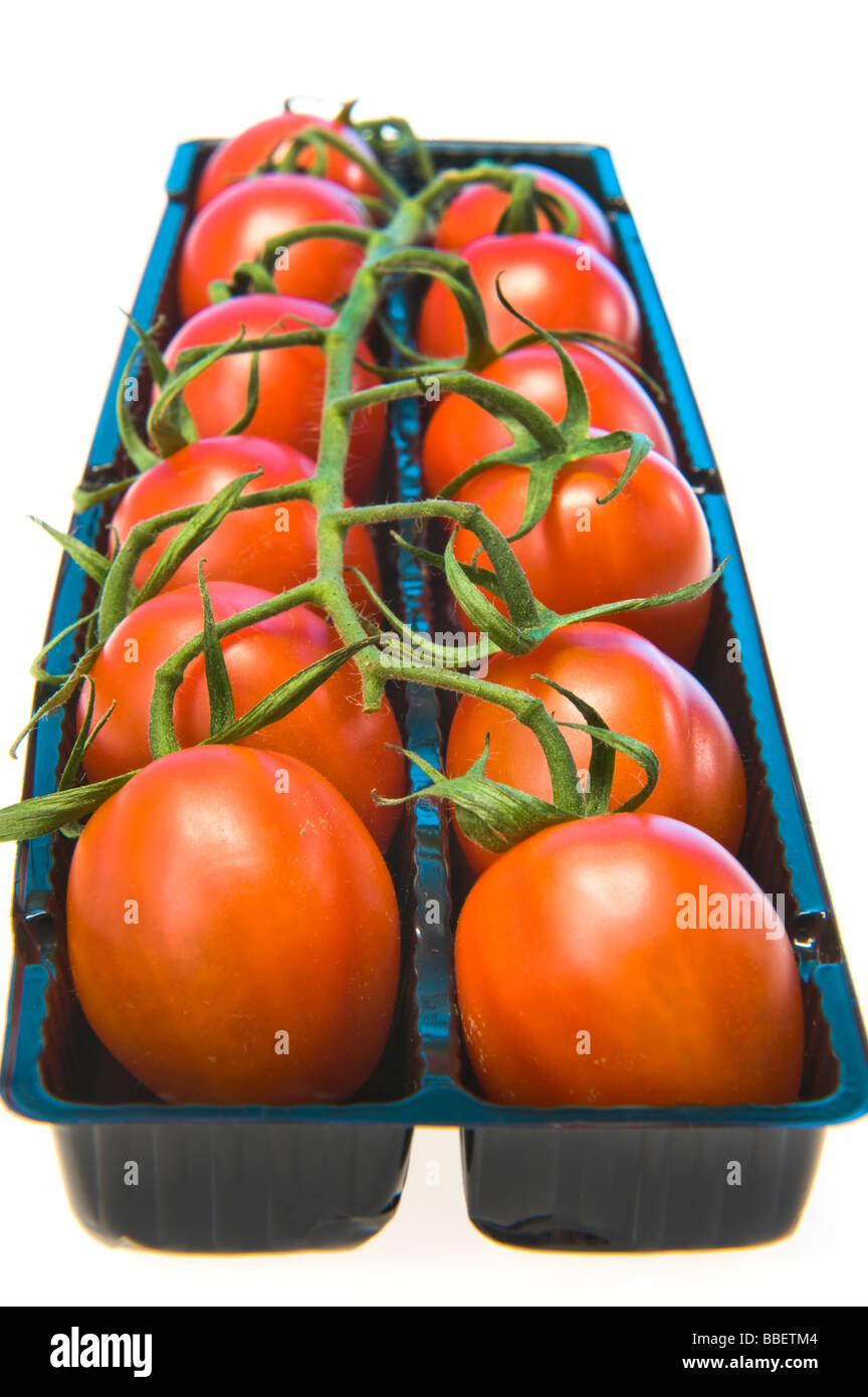 I pomodori san marzano panicle in nero scatola per la vendita rosso verde nero sfondo bianco plumtomatoes assaggiate gustose salute sano bella mini cibo Foto Stock