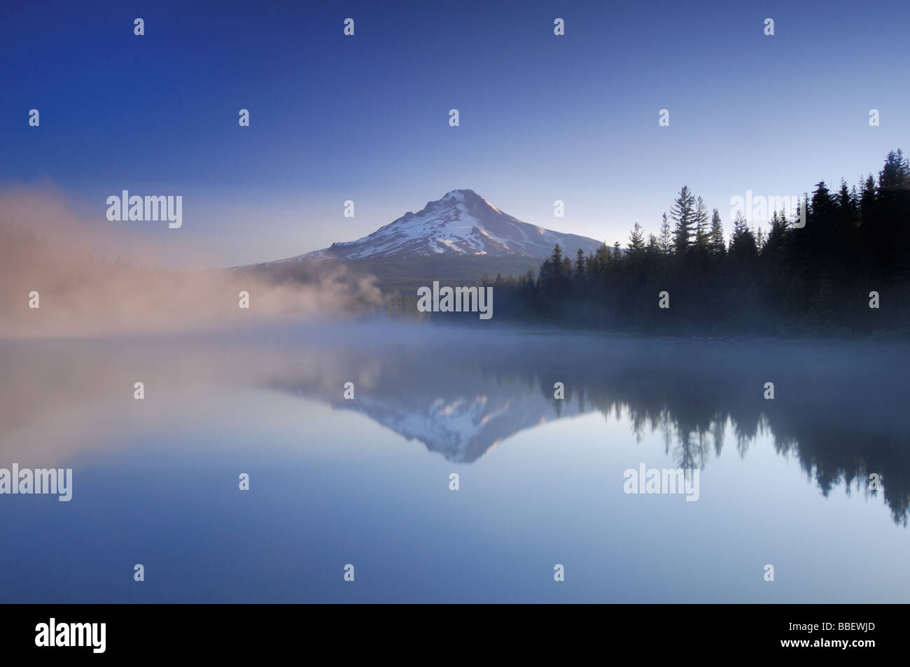 Montare il cofano si riflette in una nebbiosa Trillium Lake, Oregon Foto Stock