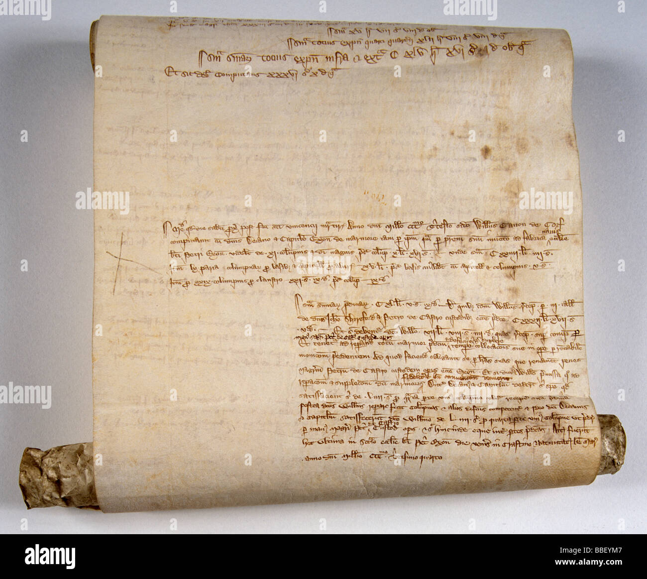 La Cattedrale di Exeter: Iobit & Conti di tessuto Foto Stock