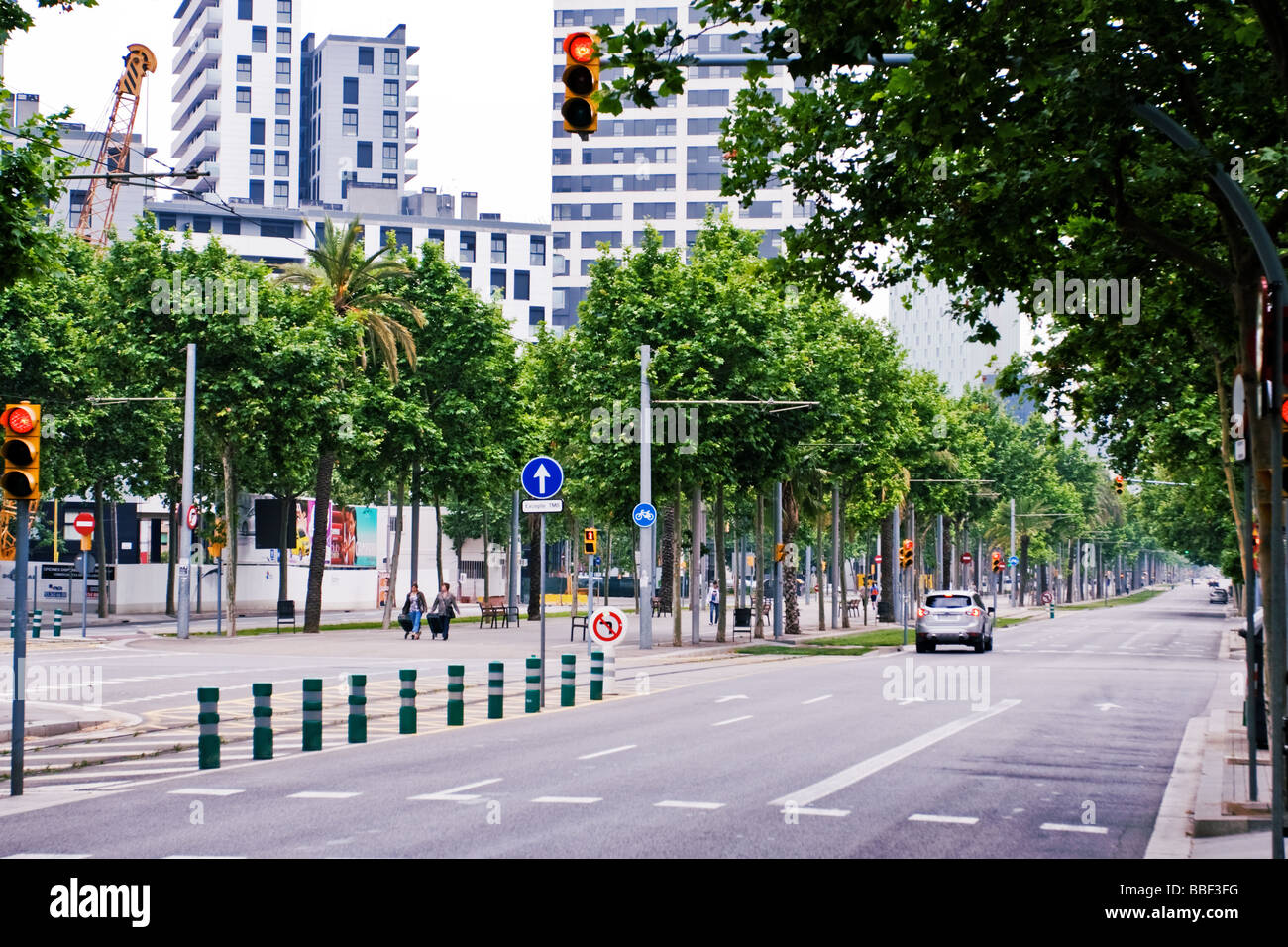 Edifici alti e alberi, Diagonal Avenue (Avinguda Diagonal Barcelona, Spagna Foto Stock