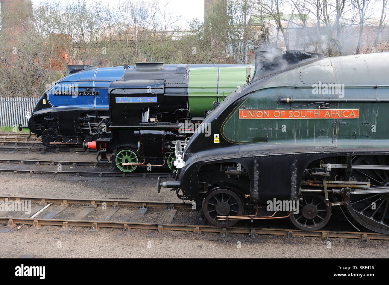 Una linea di LNER famose locomotive a vapore a Barrow Hill Roundhouse. Foto Stock