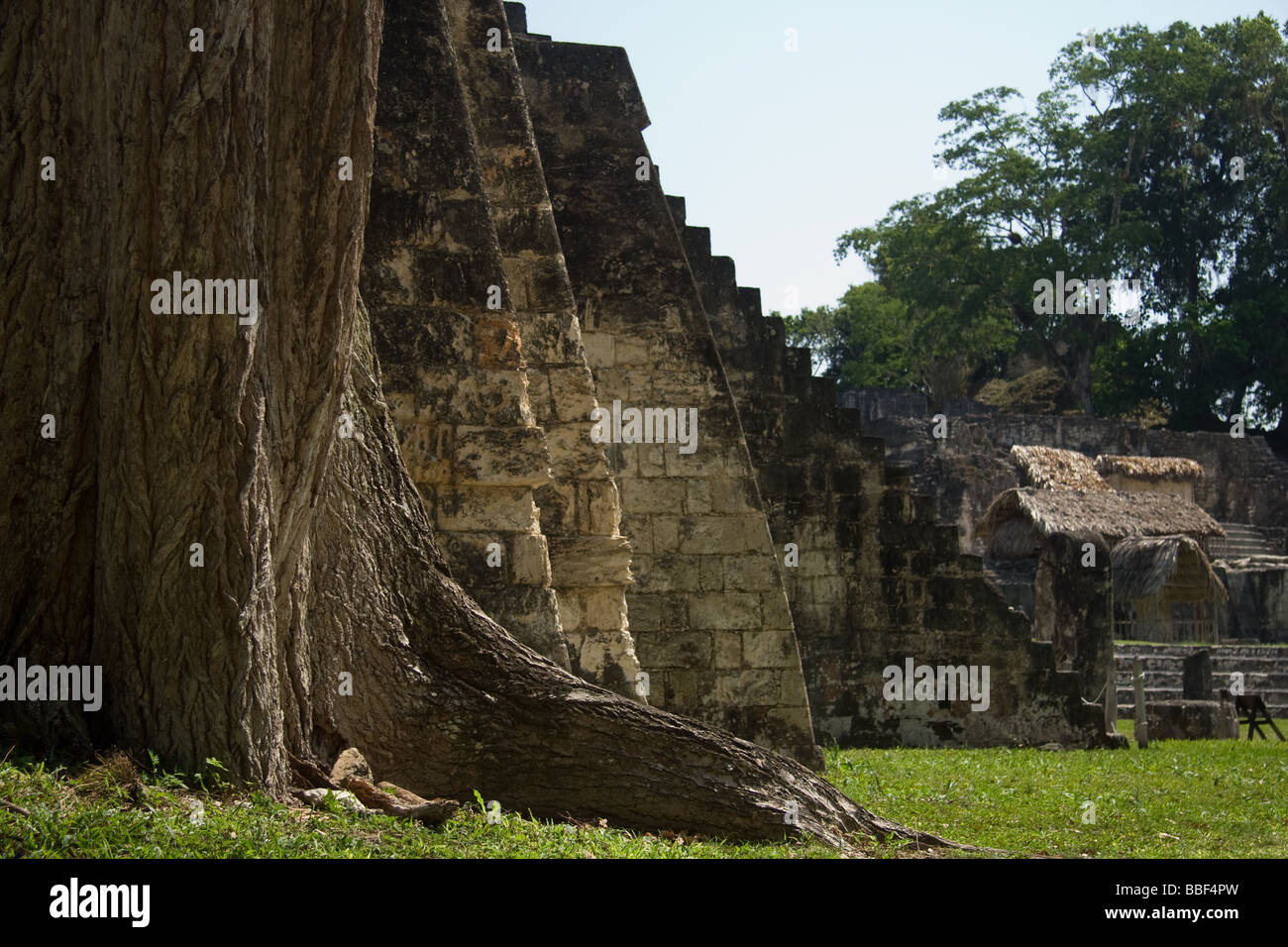 Le rovine maya di Tikal in Guatemala Foto Stock