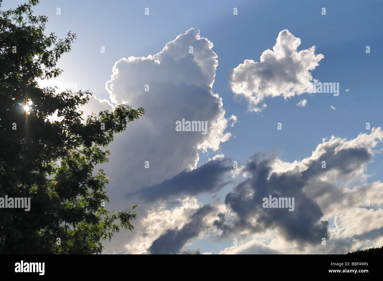 Cumulus nuvole contro un cielo blu. Oklahoma, Stati Uniti d'America. Foto Stock