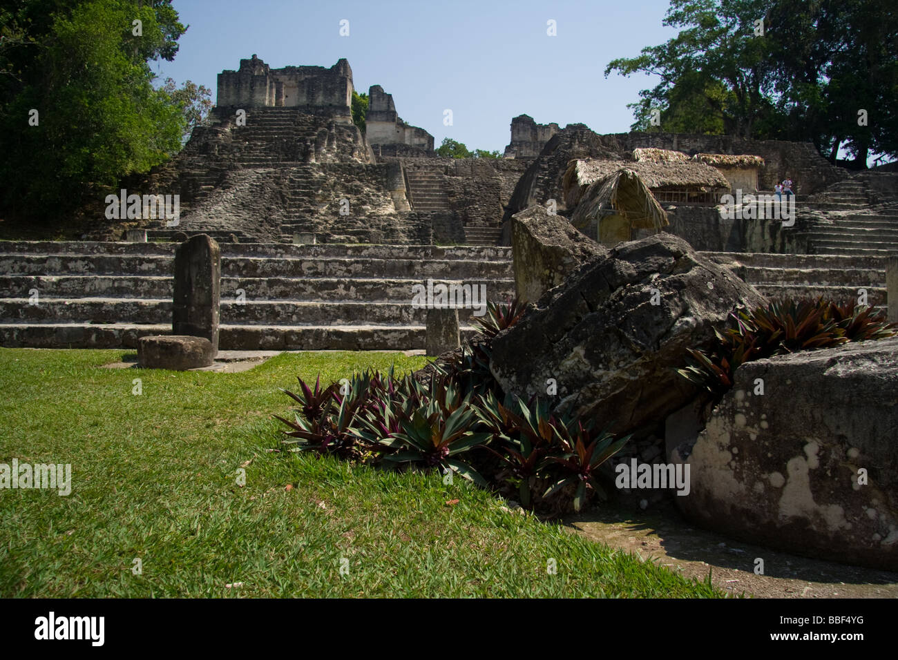 Le rovine maya di Tikal in Guatemala Foto Stock