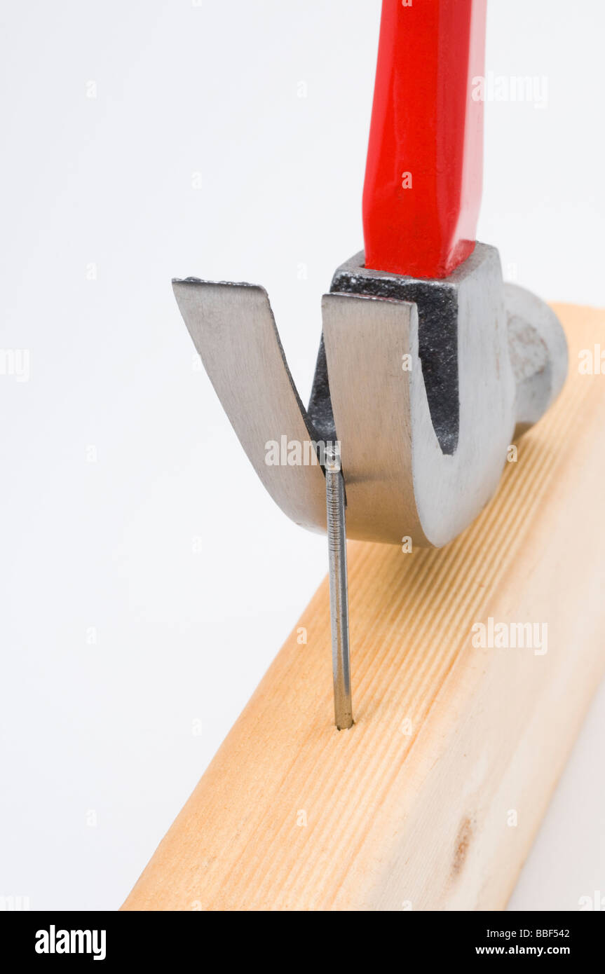 Utilizzando un martello da carpentiere per rimuovere un chiodo a partire dal legno Foto Stock
