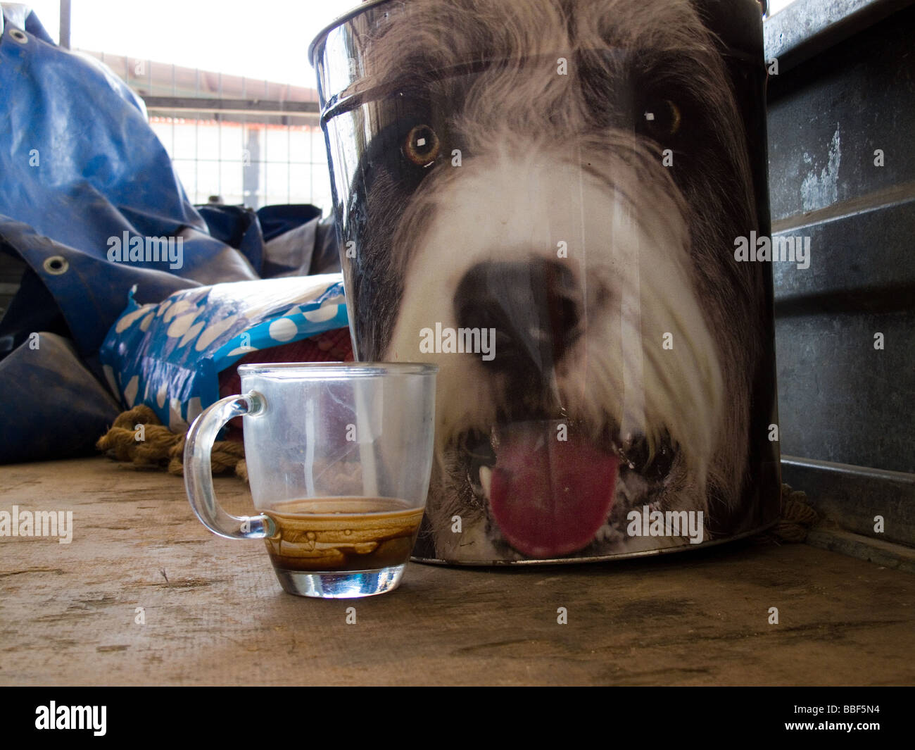 Cane cestino dei rifiuti e la vecchia Tazza da caffè Foto Stock