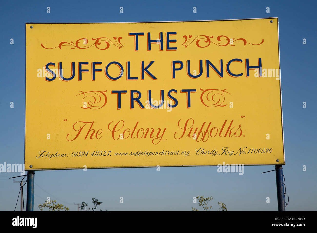 Suffolk Punch fiducia, Hollesley, Suffolk, Inghilterra Foto Stock
